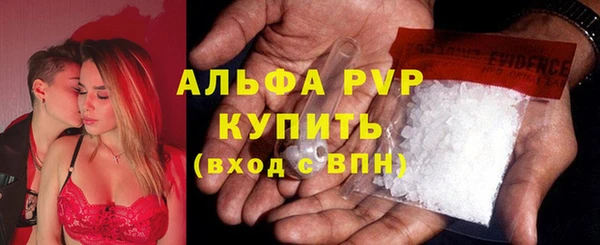гидра Алексин