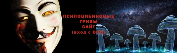 гашик Алзамай